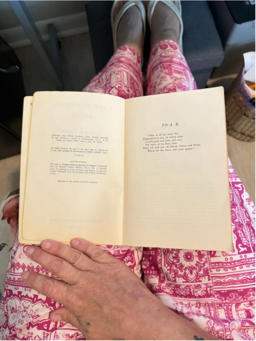 Look Homeward, Angel by Thomas Wolfe, Scribner Library Edition, Vintage Reads